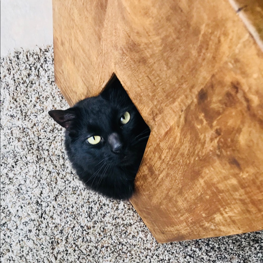 Meet your Posher, Kimberly